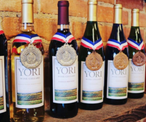 Wine Bottle Labels